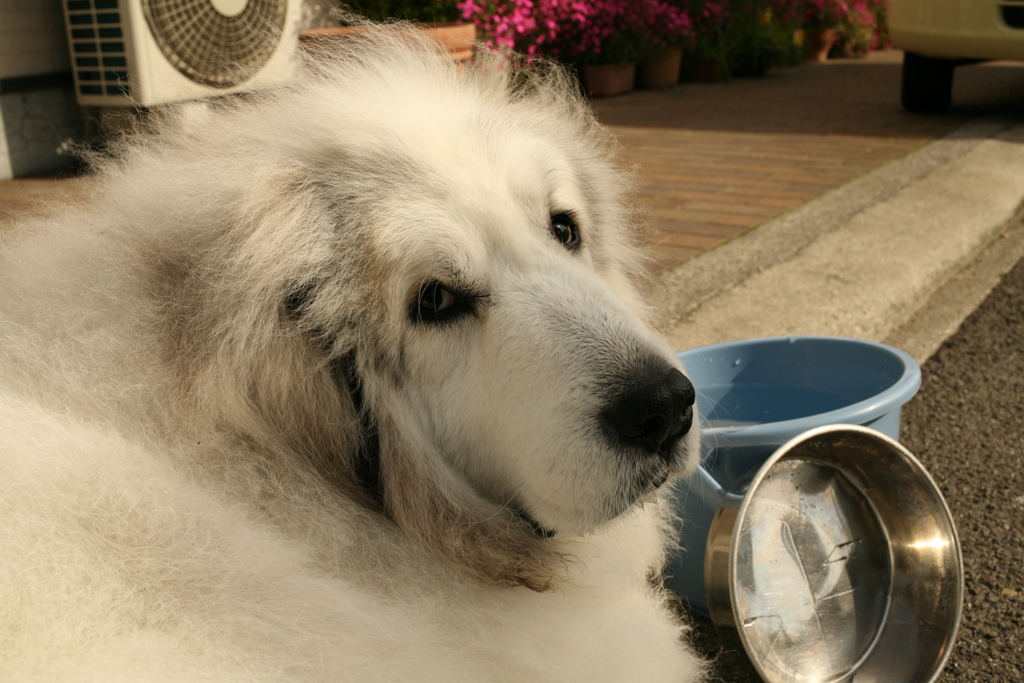 ＠2019-04-16　ニューレンズゲッツ