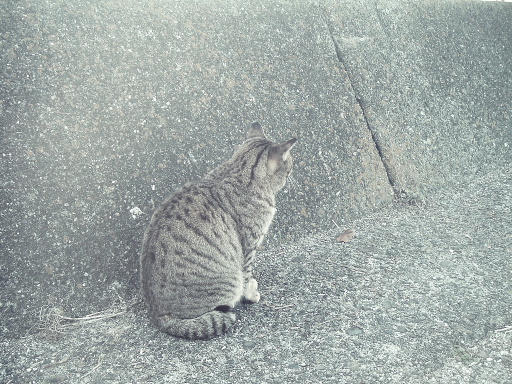 DSCF5852 asd