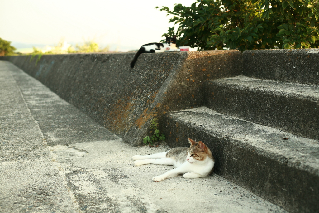 暑いですね!(^^)!