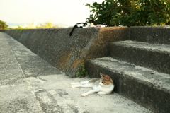 暑いですね!(^^)!