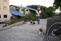 散歩中のマック