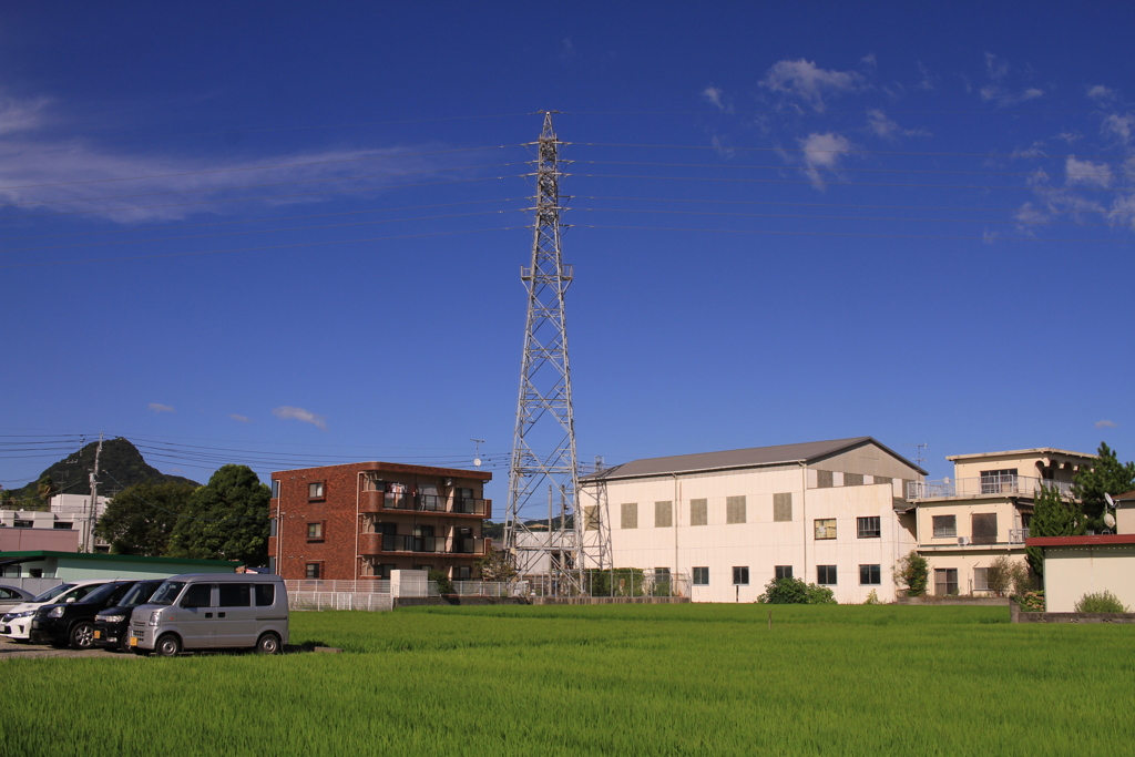 昼間はさすがに夏色に写る