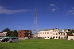 昼間はさすがに夏色に写る