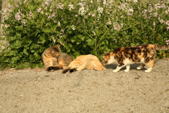 春日和＠2019-03-28