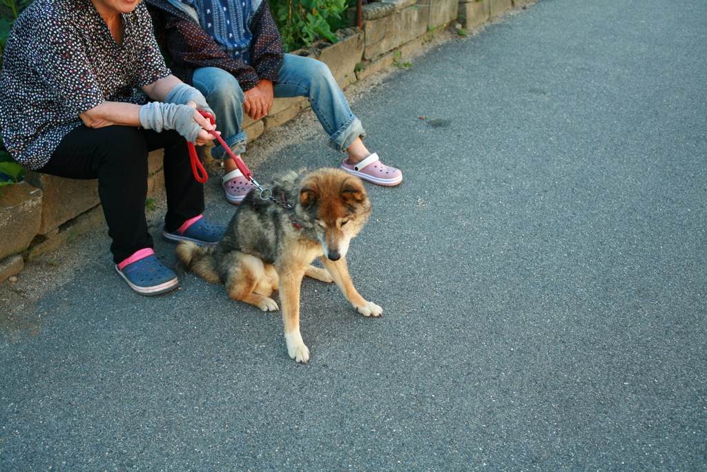 井戸端会議に参加してるクロちゃん