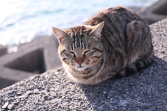 日曜＠2019-03-17