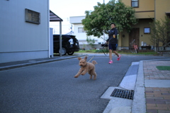 ココちゃんところの隣のロロちゃんとお姉さん