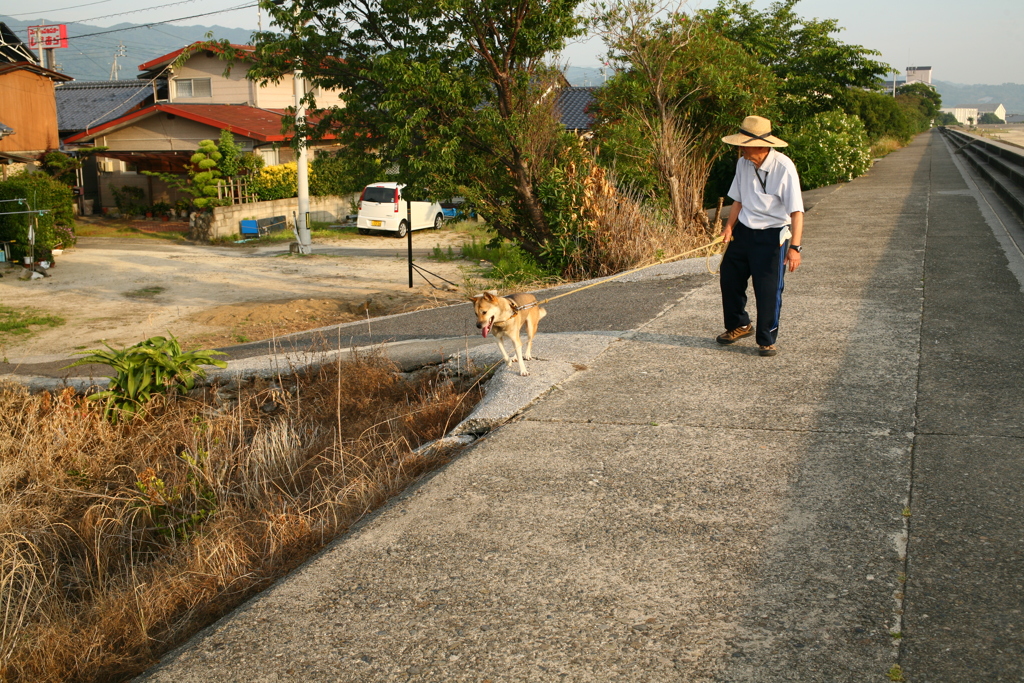 散歩してるナルちゃんとお父さん