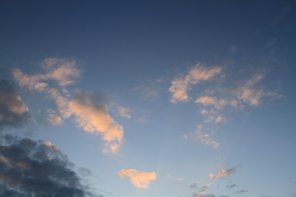 あったかい＠2018-03-04