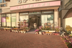 門番してるココさん