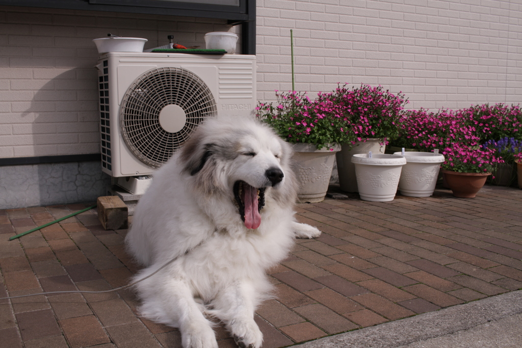 春日和＠2019-03-20