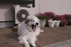 春日和＠2019-03-20