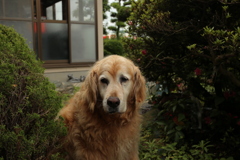 昼のみゅうちゃん