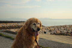 みゅうちゃんと散歩に行ける幸せ