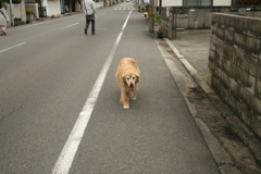 令和初日も平和な一日＠2019-05-01