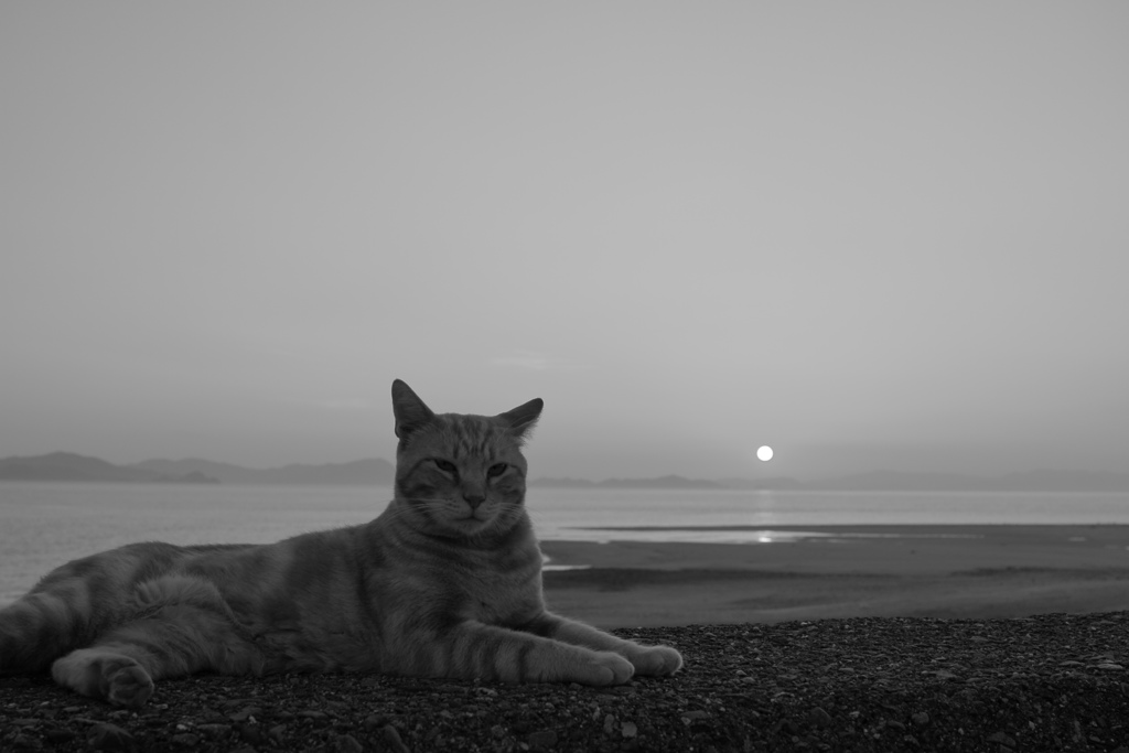 モノクロ＠2018-08-02