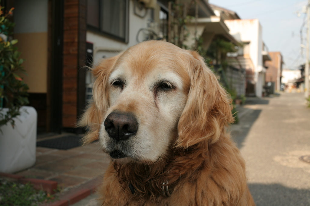 お宿番してるみゅうちゃん