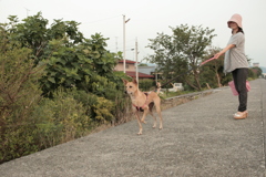 マリリンは7歳なんだそう