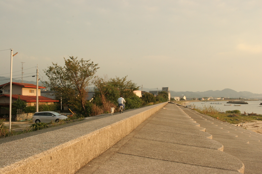 ついていきますぜ！ご主人様