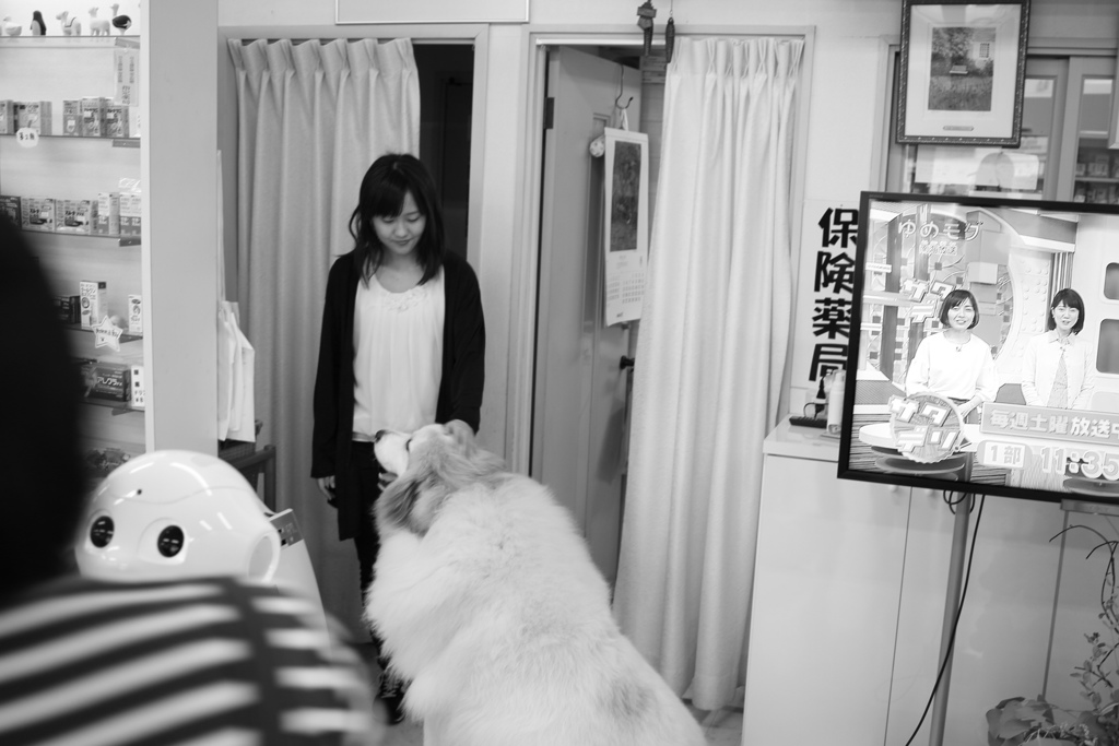 モノクロ＠2018-07-11