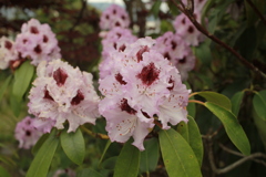 ＠2021‐04‐27