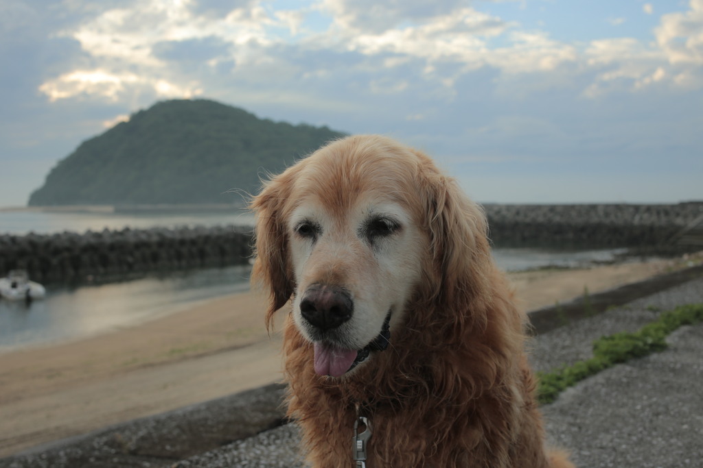 今日もみゅうちゃんと散歩