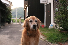 お宿番してる営業本部長みゅうちゃん