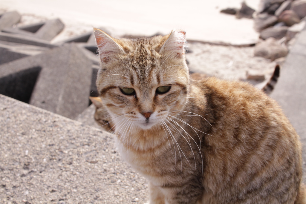 春日和＠2019-03-20