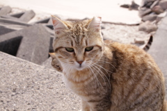 春日和＠2019-03-20