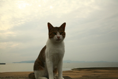 9月になったのにいいことなんてありゃしないさ