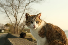 ＠2019-04-08