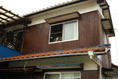 窓に猫二匹