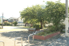 朝＠2020‐08‐16