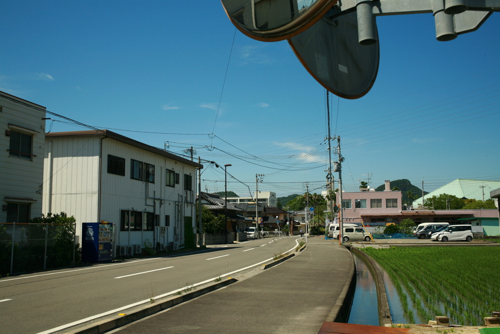 夏の日差しだとよく写るな
