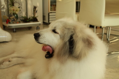 ＠2019-10-05