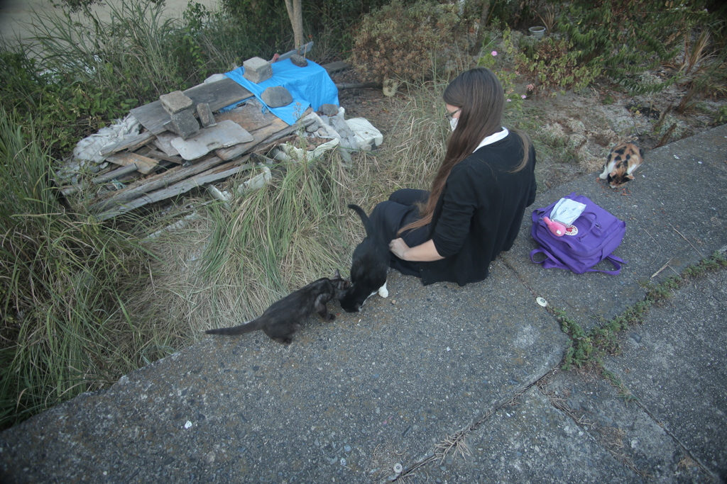 ねことお姉さん