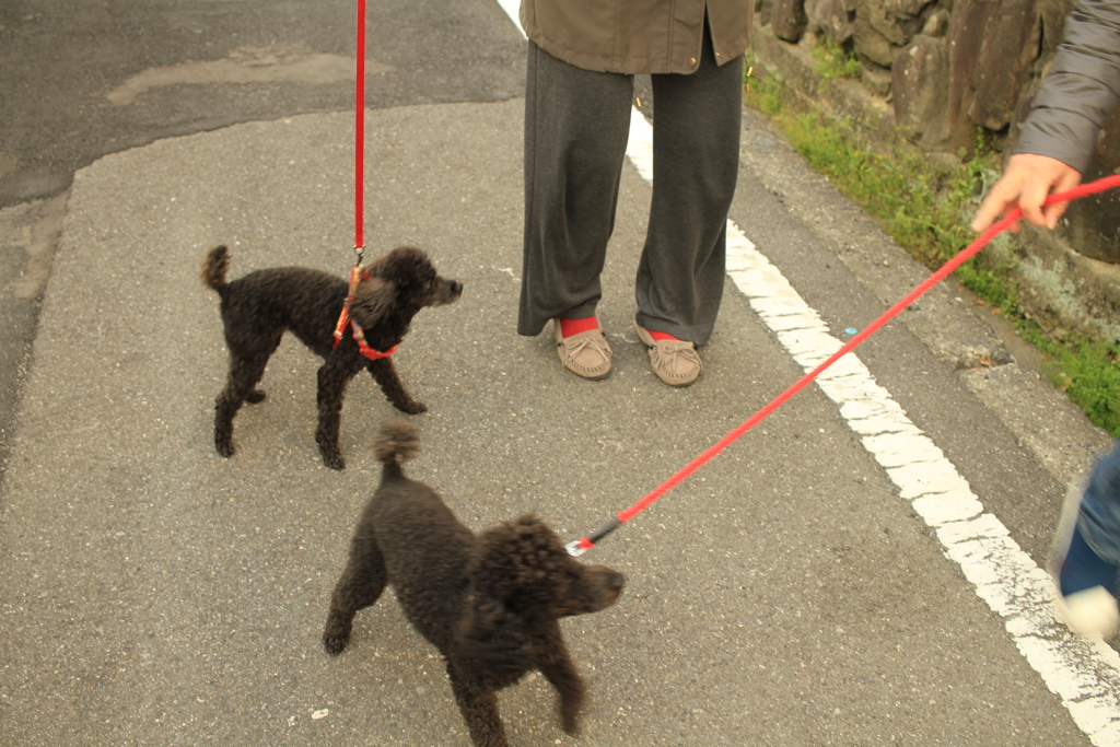 メロンちゃんともう一匹はそーちゃんって言ってたかいな