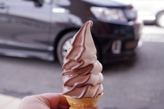 だんだん春日和