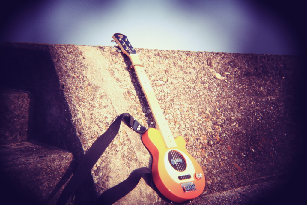 Pignose ,Holga lensにて