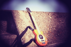 Pignose ,Holga lensにて