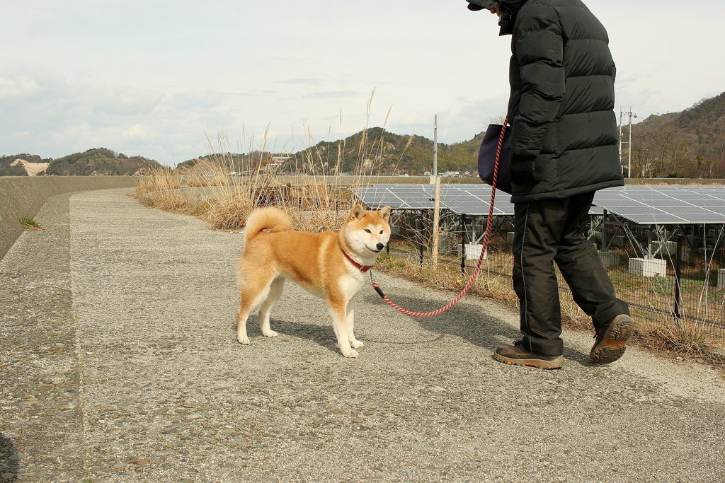 Eos20Dを持ち出す　７