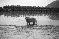 みゅうちゃん＠北条水軍ユースホステル