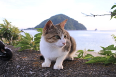 ＠2018-07-23