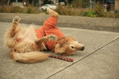 エロエロしてるみゅうちゃん