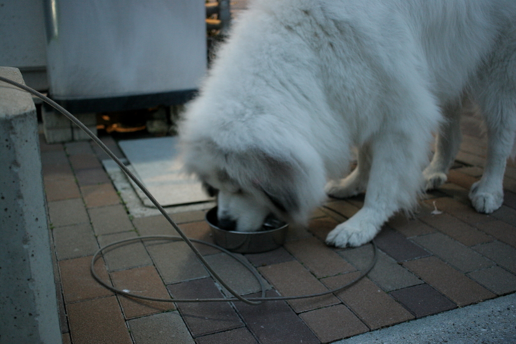 たんとおあがり