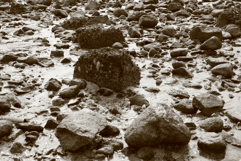 今日も暇だ～～