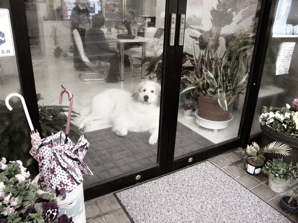 今日もイミフ系写真