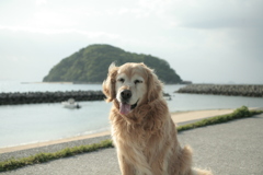 今日もみゅうちゃんと散歩