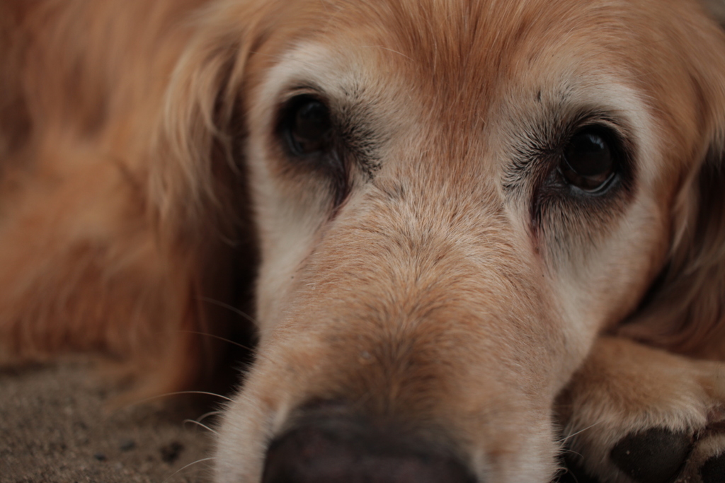 みゅうちゃん＠北条水軍ユースホステル