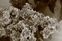 ＠2020‐05‐08